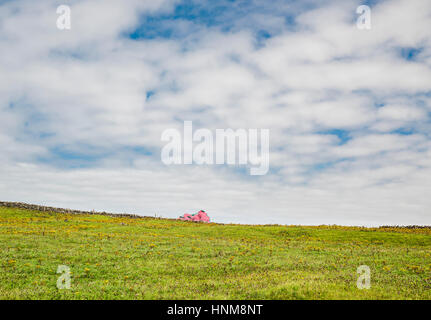 Rosa Silageballen in ein Feld als Kontrast zu den grünen Rasen und gefleckten Himmel bei Clogher, Halbinsel Dingle, County Kerry, Irland Stockfoto