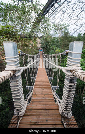 Die neue Hängebrücke innerhalb der Rainforest Biome, Eden Project. Stockfoto