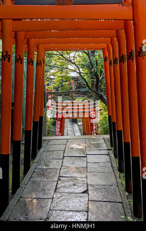 Orange Torii-Tore am Kamichama Inari Schrein im Ueno Park in Tokio, Japan. Stockfoto