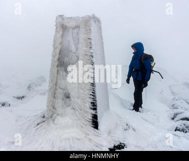 UK Wetter: Große Whernside Gipfel trig Point, Yorkshire Dales, UK. 13 Feb, 2017. Walker Person genießt Eisskulpturen wie Einfrieren Nebel erzeugt schöne rime Eisformationen auf die Trigonometrischen Punkt auf dem Gipfel des Großen Whernside, Wharfedale, Yorkshire Dales, UK. Quelle: Rebecca Cole/Alamy leben Nachrichten Stockfoto