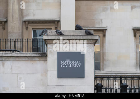 Trafalgar Square, London, UK. 14. Februar 2017. Ein Harris Hawk wird von einem Trainer auf dem Trafalgar Square heute Tauben aus den offenen Raum zu erschrecken eingesetzt. Bildnachweis: Malcolm Park Leitartikel/Alamy Live-Nachrichten Stockfoto