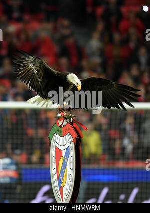 Estadio da Luz-Stadion, Grund Benfica in Lissabon ...