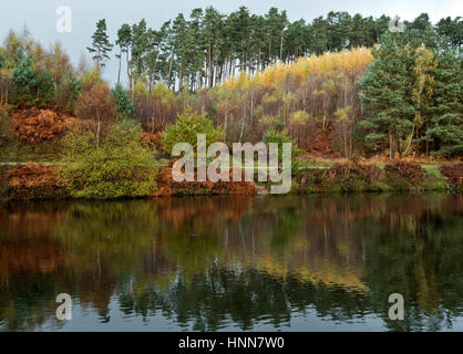 Herbstliche Farben und Tönungen reflektieren in Fair Oak Becken Cannock Chase ein Bereich der hervorragenden natürlichen Schönheit Staffordshire England Stockfoto