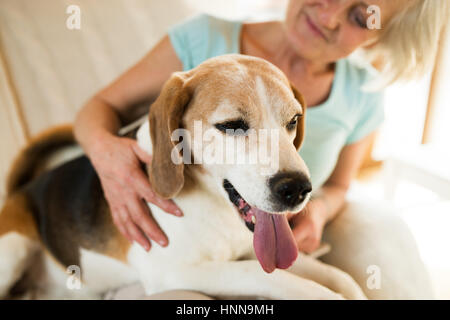 Ältere Frau mit ihrem Hund zu Hause entspannen Stockfoto