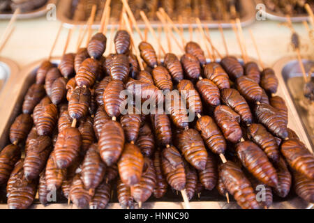 Spezielle Snack frittierten Seidenraupen Stockfoto