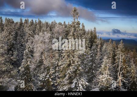 Landschaft von Koli Nationalpark (Kolin Kansallispuisto) in Finnland, Nord-Karelien: Pielinen See im Koli Nationalpark (Kolin Kansallispuisto) Stockfoto