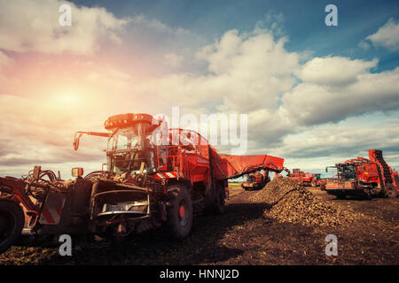 Traktoren im Bereich tätig. Karpaten. Ukraine-Europa Stockfoto