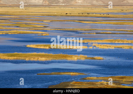 Bangong See der Ritu Grafschaft, Tibet Stockfoto