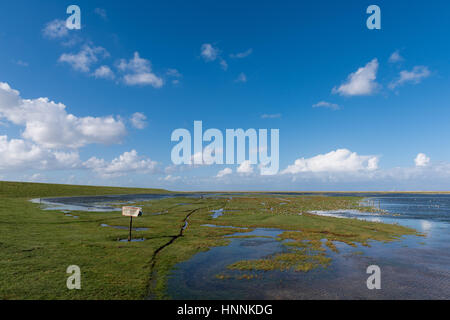 Das dänische Wattenmeer in der Nähe von Mandoe Insel, UNECSCO Weltnaturerbe, Nordsee, Süd-Jütland, Dänemark Stockfoto