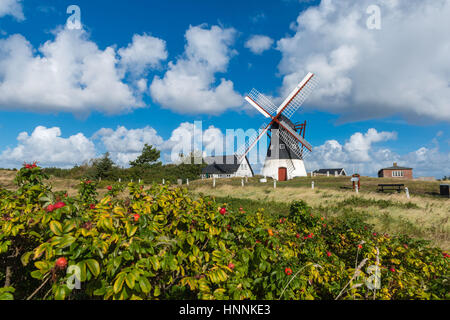 Die Windmühle von Mandoe Insel im dänischen Wattenmeer, Weltnaturerbe UNECSCO, Nordsee, Süd-Jütland, Dänemark Stockfoto