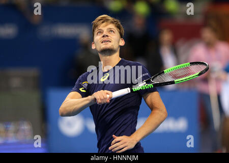 Sofia, Bulgarien - 11. Februar 2017: David Goffin aus Belgien (im Bild) spielt gegen Roberto Bautista Agut aus Spanien während eines Spiels von Sofia Ope Stockfoto