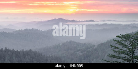 Magischen Sonnenuntergang Panorama über Santa Cruz Mountains Stockfoto