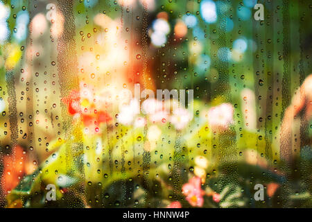 Wassertropfen auf der kalten Fensterscheiben und Blumengärten. Stockfoto