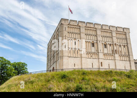 Norwich Castle Museum & Art Gallery, Norfolk, England, Großbritannien Stockfoto