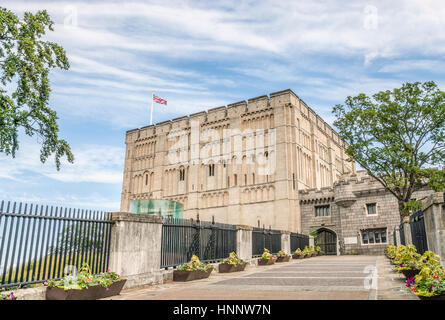 Norwich Castle Museum & Art Gallery, Norfolk, England, Großbritannien Stockfoto