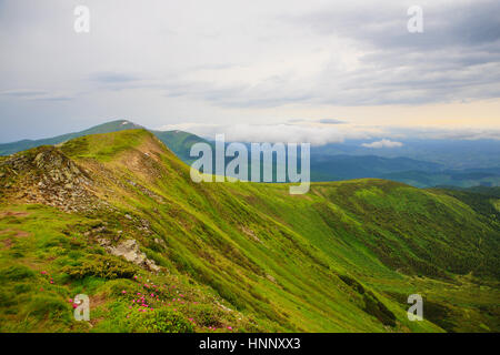 Bewölkt Morgen auf Mount Howerla Karpaty. Stockfoto