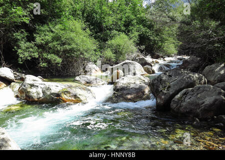 Sant Nicolau Fluss im Aigüestortes Nationalpark in den katalanischen Pyrenäen, Spanien. Der Hauptkamm der Pyrenäen bildet eine Kluft zwischen Frankreich und Stockfoto