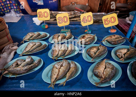 Thailand Makrele kleine Fische zum Verkauf. Einzigartig am Golf von Thailand mit seiner kleinen Größe und seiner runden und kurzen Form, Stockfoto