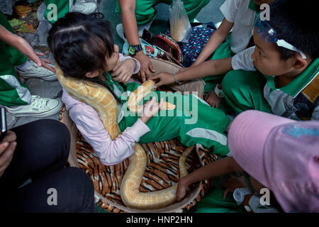 Umgang mit Schlangen bei Kindern. Schulkinder auf einer wissenschaftlichen Natur Entdeckung Tage Ausflug Umgang mit einer großen Python-Schlange. Thailand, Südostasien Stockfoto