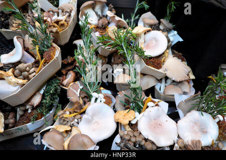 Kleine Schalen mit Auswahl von verschiedenen Pilzen auf dem Display am Stall an Borough Market in der Nähe von London Bridge in Southwark, Süd-London, UK KATHY DEWITT Stockfoto