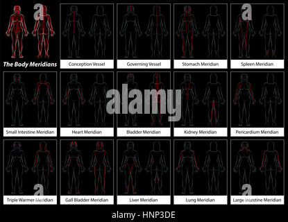 Körper Meridiane detailliert Diagramm schwarze Frau Stockfoto