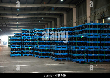 Lagerlogistik Stockfoto