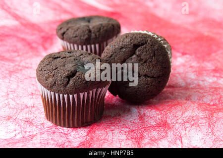 Schokoladen-Muffins in Pappbecher auf rotem Grund Stockfoto