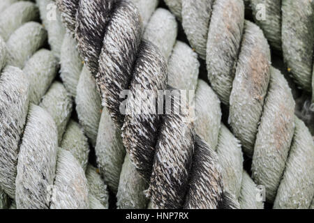 Raue Seil zum Abschleppen große Boote voll von grünen Flechten Flecken. Stockfoto