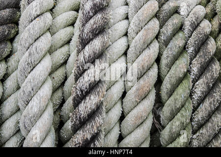 Raue Seil zum Abschleppen große Boote voll von grünen Flechten Flecken. Stockfoto