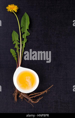 Löwenzahnhonig und Blume auf schwarzem Hintergrund, von oben. Natürliche Heilmittel. Stockfoto