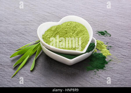 Junge Gerstengras und Pulver und Spirulina in Herzförmige Schüssel auf konkreten Hintergrund. Detox und gesundes Leben. Stockfoto