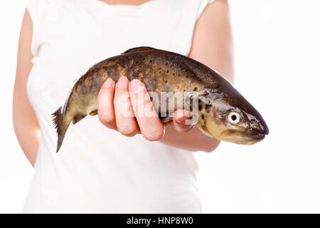 Köchin halten frische Regenbogenforellen Isoalted auf weißem Hintergrund. Frische Meeresfrüchte kochen. Stockfoto