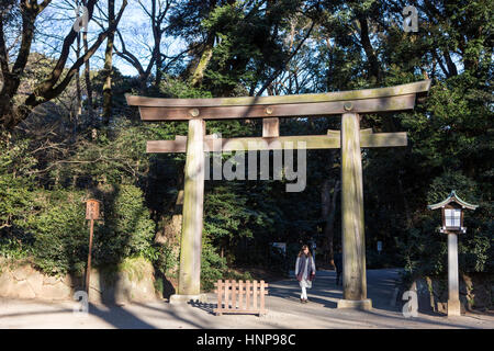 Meiji-Schrein, Tokyo Japan (明治神宮, Meiji-Jingū) - ein Torii-Tor entlang der bewaldeten Annäherung zum Meiji-Schrein Stockfoto