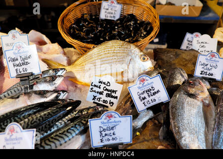 Fisch stall Anzeige Verkauf von Fisch aus Dorset im Borough Markt in der Nähe der London Bridge in Southwark, London, UK KATHY DEWITT Stockfoto