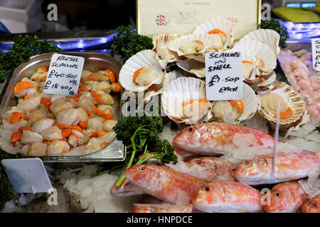 Fisch stall Display im Borough Market in der Nähe von London Bridge in Southwark, Süd-London, UK KATHY DEWITT Stockfoto