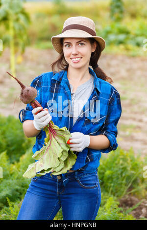 Gartenarbeit. Frau mit Bio rote Beete im Gemüsegarten. Glückliches Mädchen rote Beete im Feld ernten. Ernte. Jungbauer, rote Beete ernten. Portra Stockfoto