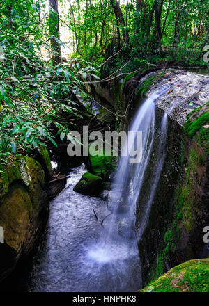 Kleiner Wasserfall fließt durch den Kanal zwischen den Felsen im Wald. Stockfoto