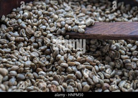 Ungerösteten Rohkaffee Stockfoto