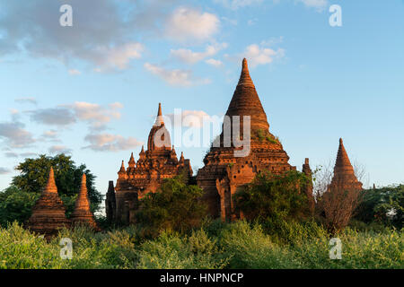 Tempel Und Pagoden in der Ebene von Bagan, Myanmar, Asien |  Plains Bagan Tempeln und Pagoden, Bagan, Myanmar, Asien Stockfoto