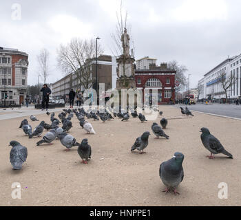 Mornington Crescent London mit Tauben Stockfoto