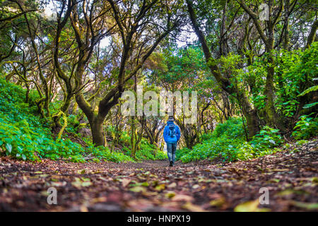 Niedrigen Winkel Ansicht von männlichen Touristen Wandern durch mystische Wald von uralten Bäumen auf der schönen Insel El Hierro in Sommer, Kanarische Inseln, Spanien Stockfoto