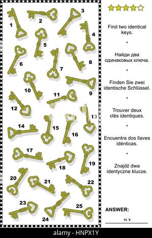 Visuelle Rätsel für Erwachsene (Kinder sind willkommen): zwei identische Schlüssel zu finden. Antwort enthalten. Stock Vektor