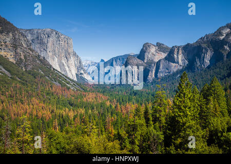 Tunnel-Standardansicht des malerischen Yosemite Valley mit berühmten El Capitan und Half Dome Klettern Gipfel an einem schönen Tag mit blauem Himmel, California Stockfoto