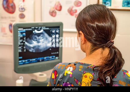 Arzt nutzt Ultraschalluntersuchung in der Tierklinik Stockfoto