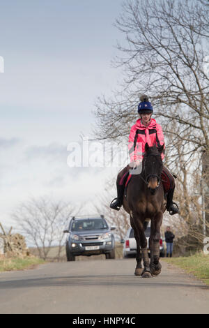 Teenager-Mädchen auf einem Vollblut Pferd entlang der Landstraße in North Yorkshire, UK. Stockfoto