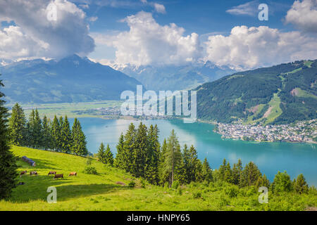 Schöne Landschaft in den Alpen mit klaren See und grüne Wiesen voller blühender Blumen an einem sonnigen Tag mit blauem Himmel und Wolken, Zell am See, Österreich Stockfoto