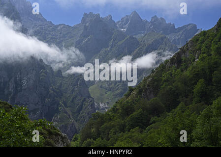 Mit Blick auf den Picos de Europa von der Canal de Trea oberhalb der Schlucht kümmert sich in der Nähe von Cain, Nordspanien Stockfoto