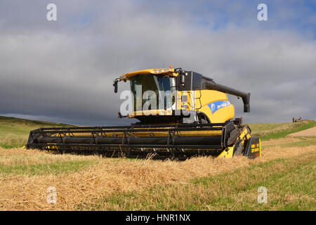 Neues Holland CR980 Mähdrescher Stockfoto