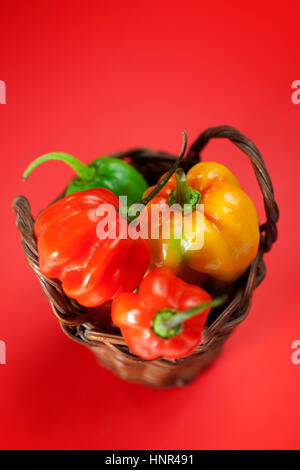 Kleiner Korb gefüllt mit Mini-Peperoni Stockfoto