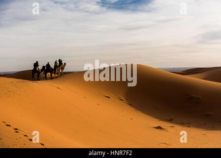 Wüste Sahara in Marokko Stockfoto